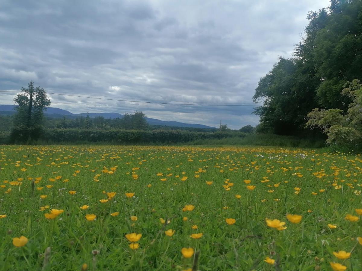 Justosleep Appartamento Kilkenny Esterno foto